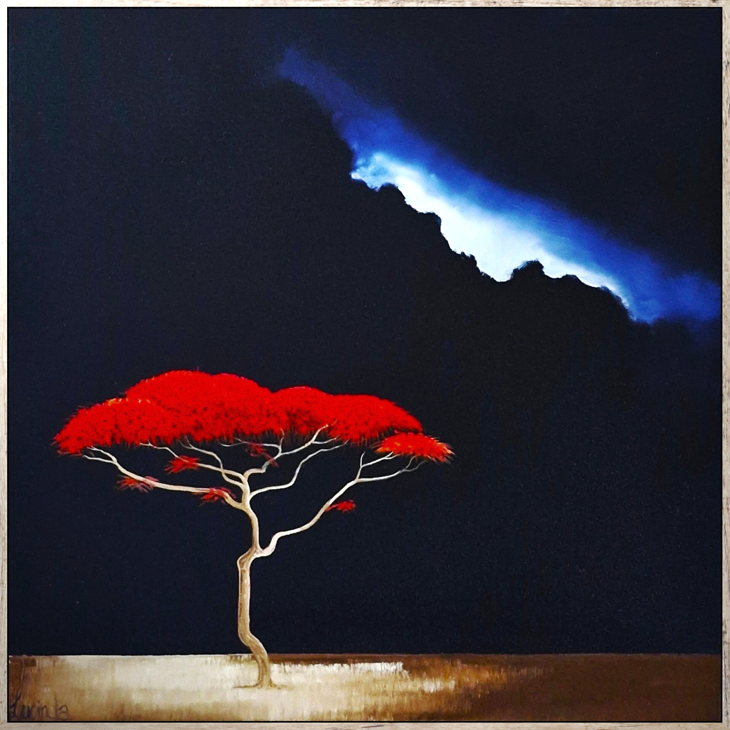 Lucinda Leveille Art | Lucinda's Studio | Brisbane Art | Australian Artist | Gold Coast Artist | Online Gallery | trees | Australian landscape | clouds | exclusive art | ready to hang | original art | Australian landscape painting