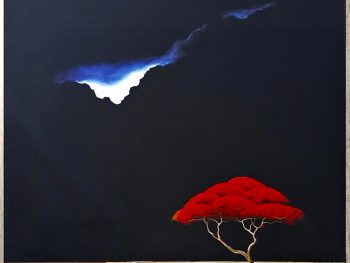 Lucinda Leveille Art | Lucinda's Studio | Brisbane Art | Australian Artist | Gold Coast Artist | Online Gallery | trees | Australian landscape | clouds | exclusive art | ready to hang