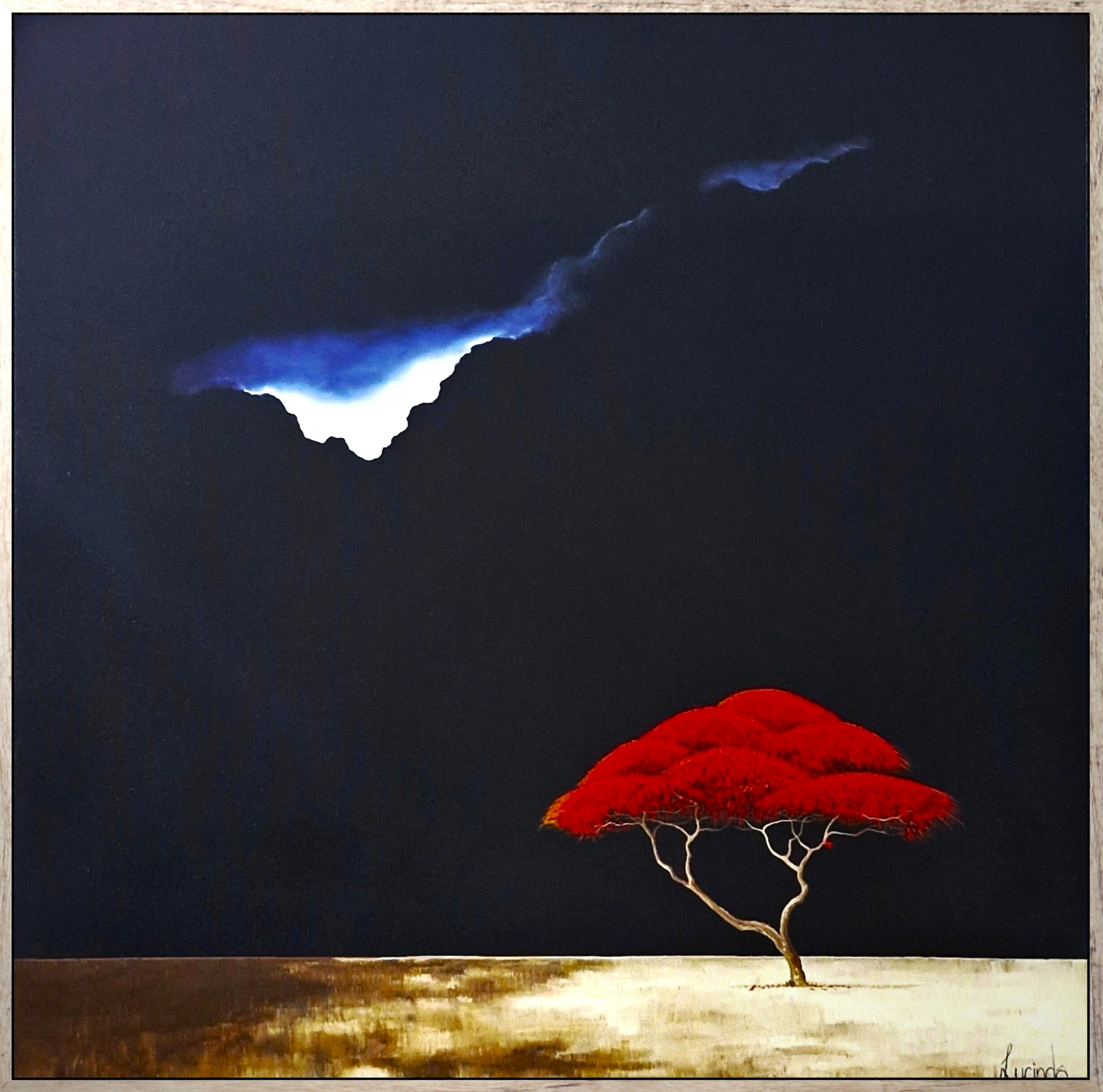 Lucinda Leveille Art | Lucinda's Studio | Brisbane Art | Australian Artist | Gold Coast Artist | Online Gallery | trees | Australian landscape | clouds | exclusive art | ready to hang