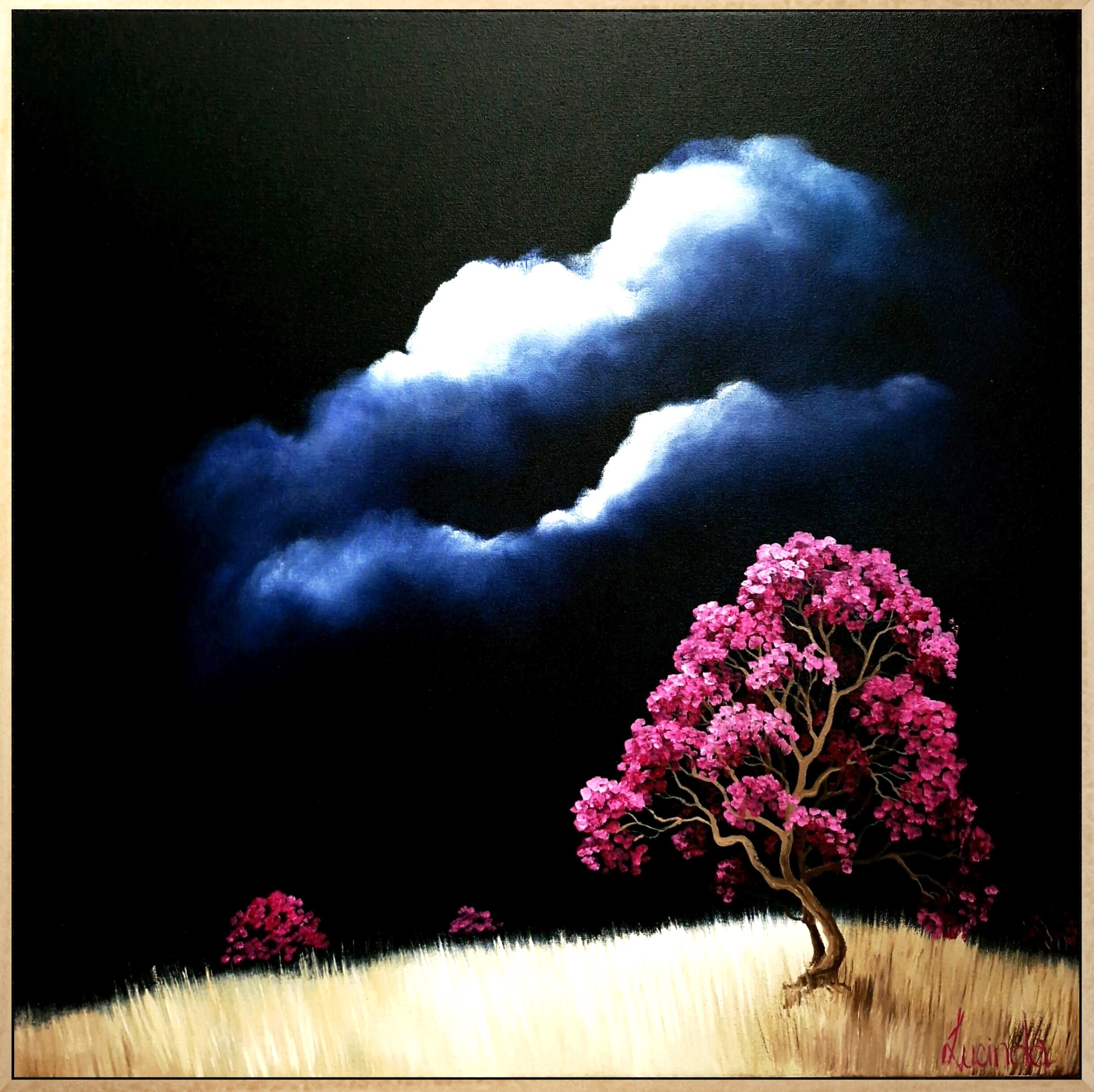 Lucinda Leveille Art | moody dark sky with single vibrant magenta in foreground, highlighted hill, Australian landscape, original artwork