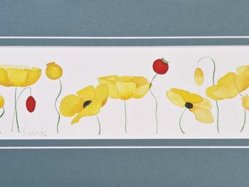 Bright yellow poppies with red buds, matted and gift wrapped, rady to frame, original and exclusvie wtercolour from Lucinda's Studio