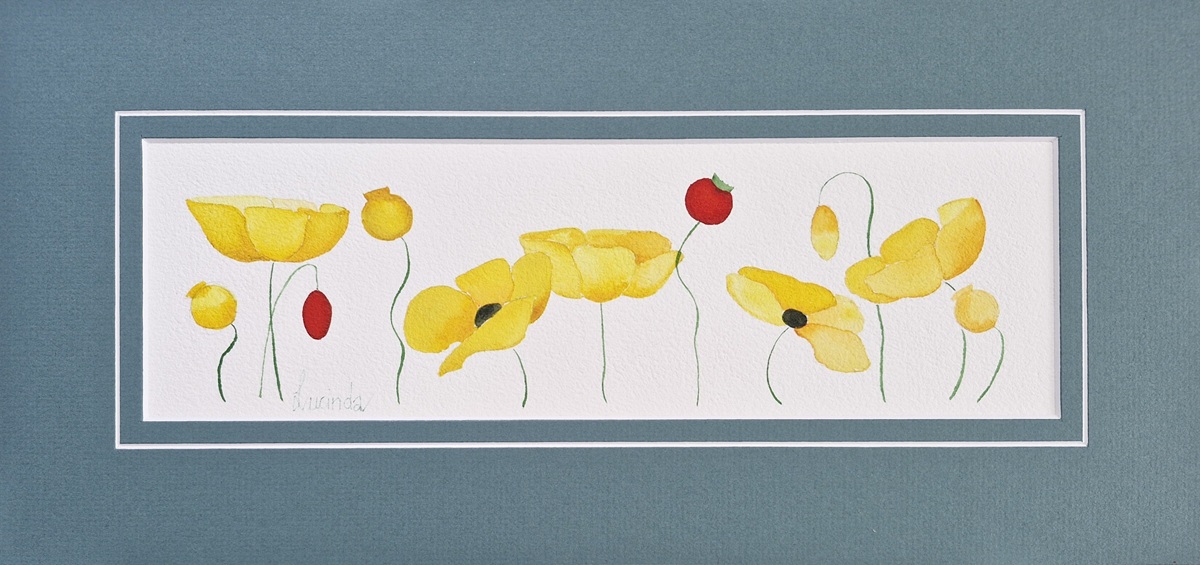 Bright yellow poppies with red buds, matted and gift wrapped, rady to frame, original and exclusvie wtercolour from Lucinda's Studio