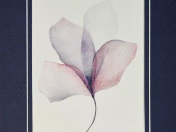 a delicate watercolour based on a four leaf clover , Original Australian watercolour floral painting exploring colour, form and the fluid versatility of watercolour.