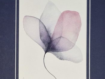 a delicate watercolour based on rose petals, Original Australian watercolour floral painting exploring colour, form and the fluid versatility of watercolour.