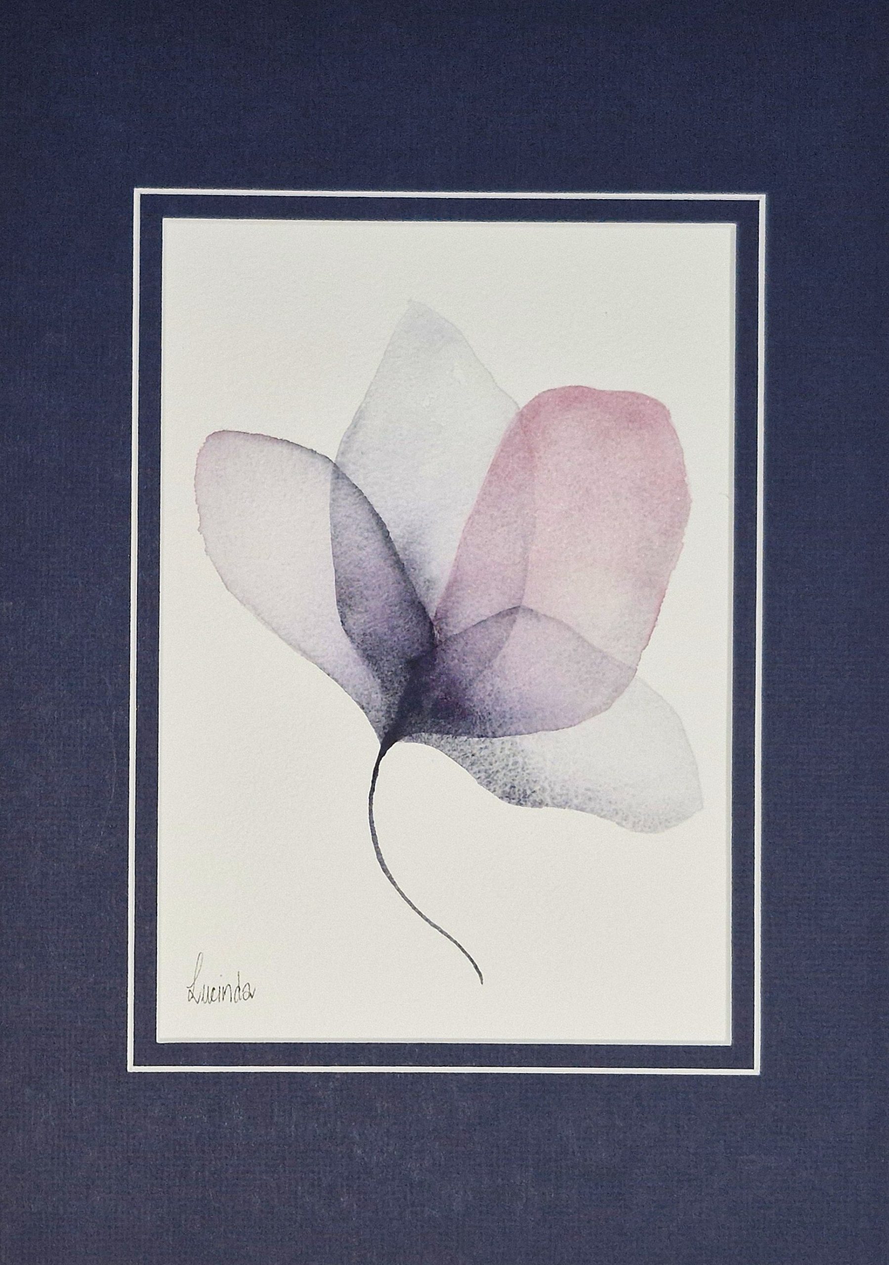 a delicate watercolour based on rose petals, Original Australian watercolour floral painting exploring colour, form and the fluid versatility of watercolour.