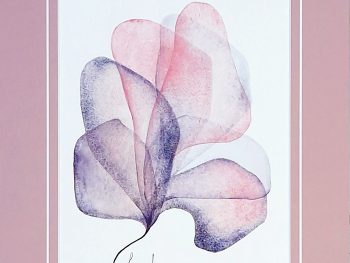 A delicate pastel watercolour based on petals , Original Australian watercolour floral painting exploring colour, form and the fluid versatility of watercolour.
