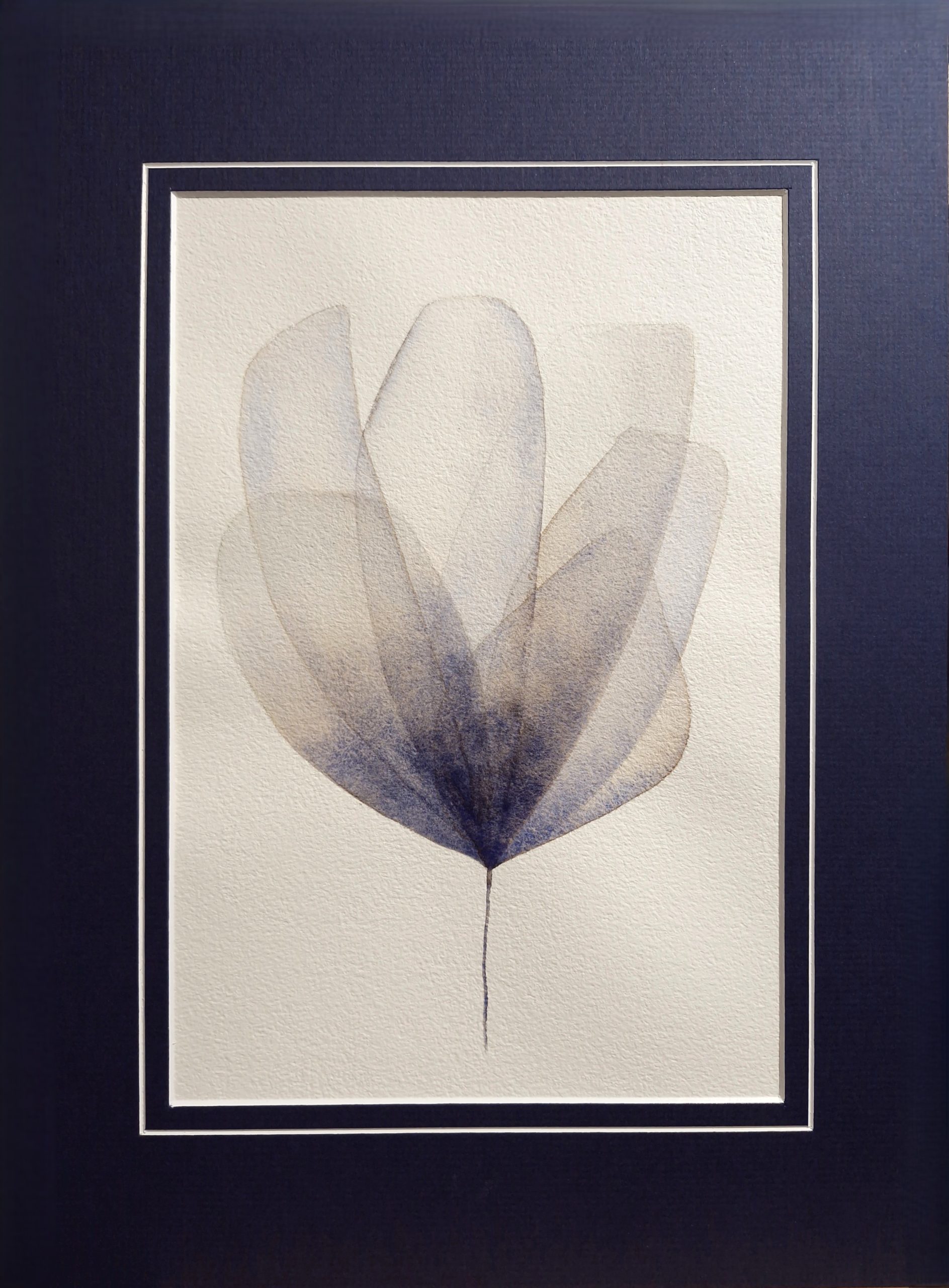 A delicate watercolour inspired by petals, Original Australian watercolour floral painting exploring colour, form and the fluid versatility of watercolour.