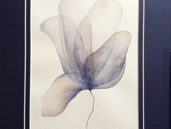 A delicate small watercolour based on flowers, Original Australian watercolour floral painting exploring colour, form and the fluid versatility of watercolour.