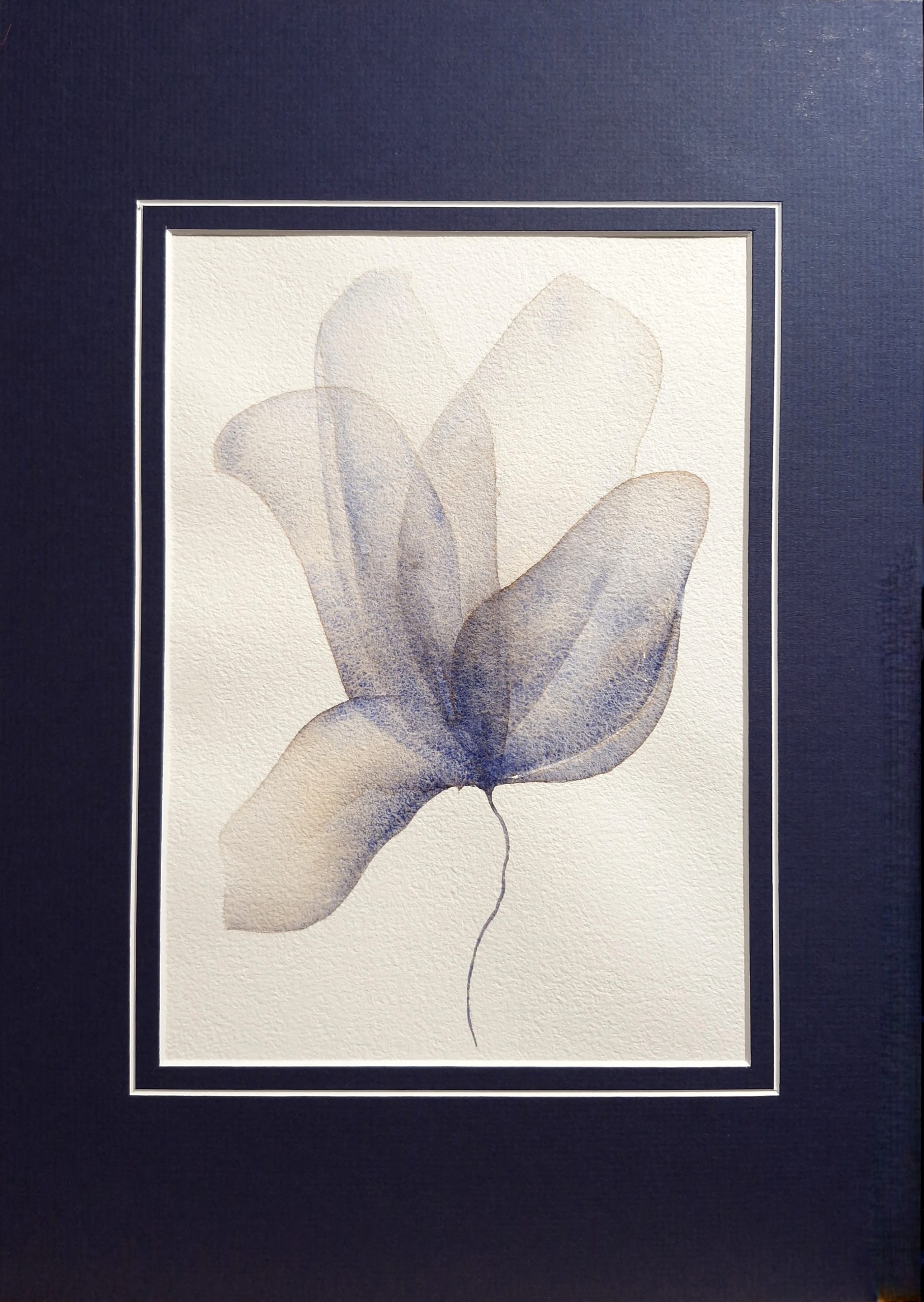 A delicate small watercolour based on flowers, Original Australian watercolour floral painting exploring colour, form and the fluid versatility of watercolour.