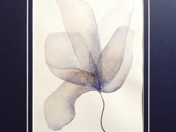A small floral watercolour, part of a series, Original Australian watercolour floral painting exploring colour, form and the fluid versatility of watercolour.
