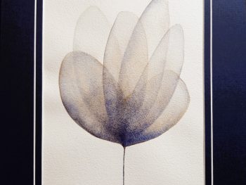 A floral watercolour, part of a series, Original Australian watercolour floral painting exploring colour, form and the fluid versatility of watercolour.