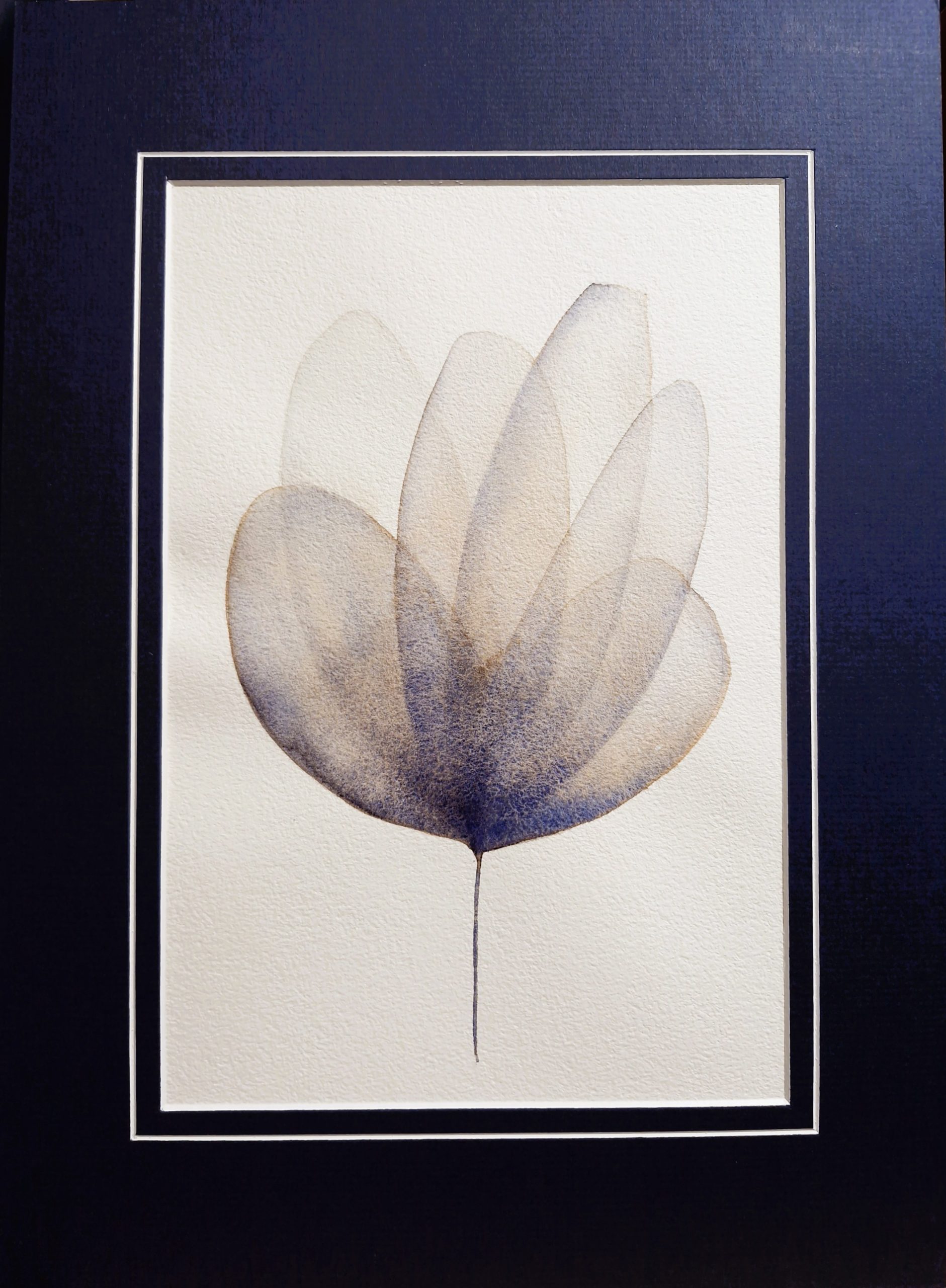 A floral watercolour, part of a series, Original Australian watercolour floral painting exploring colour, form and the fluid versatility of watercolour.