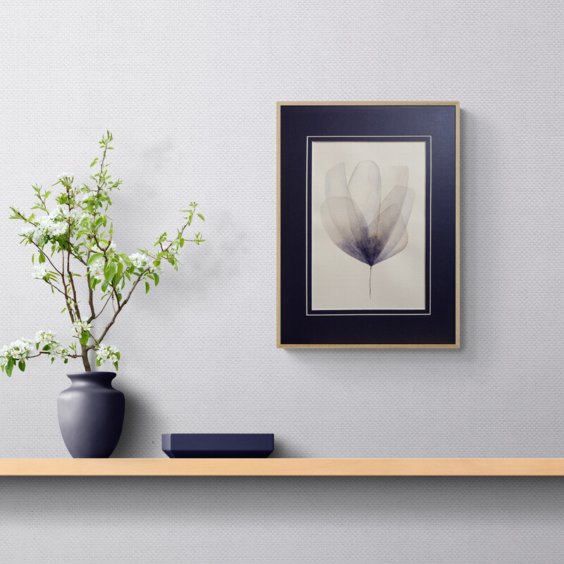 A delicate watercolour inspired by petals, Original Australian watercolour floral painting exploring colour, form and the fluid versatility of watercolour.