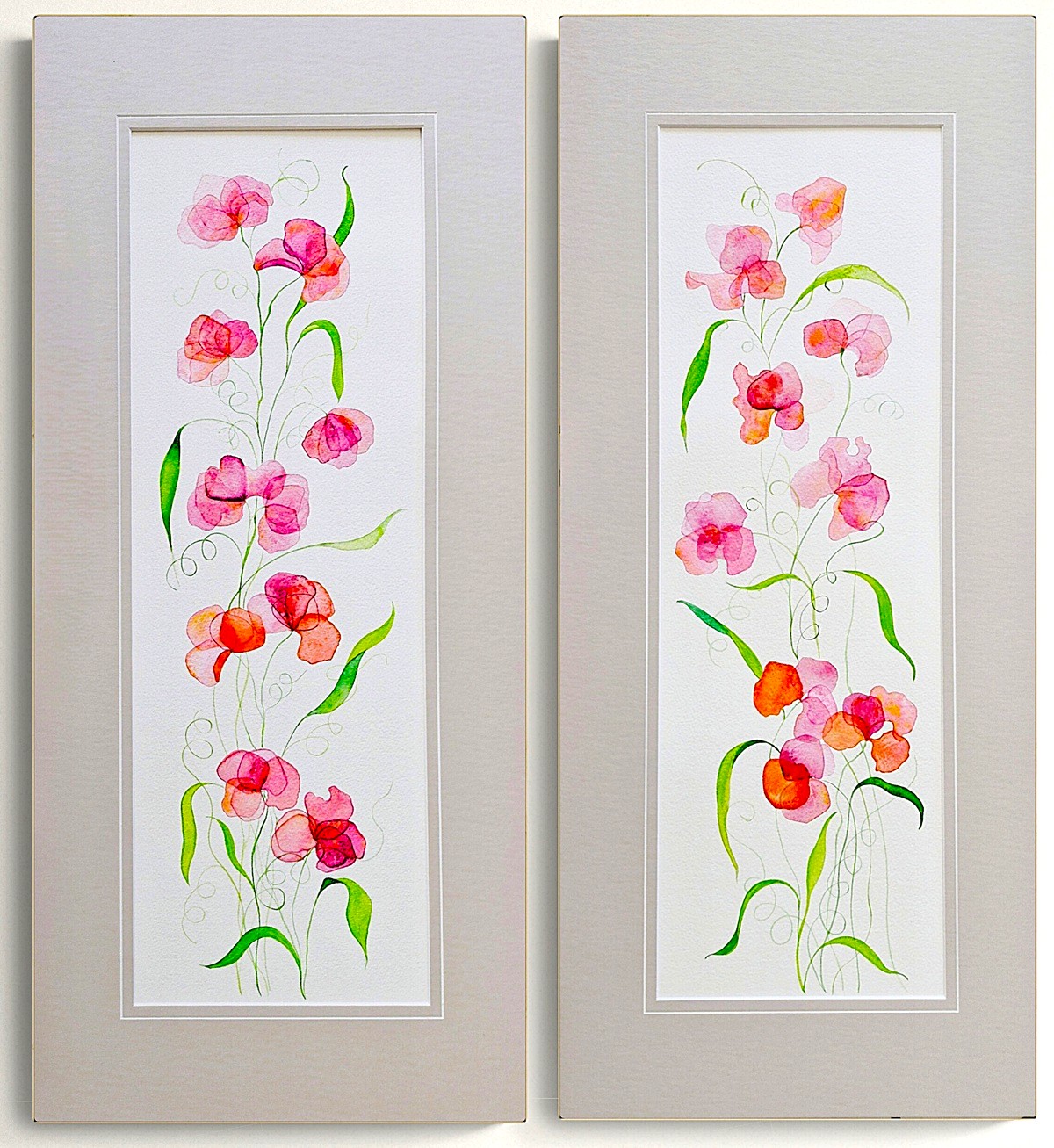 Original Australian floral watercolour, A pair of archival quality watercoours based on the sweet pea flower with tendrils and apricot and pink blossoms, already matted and ready to frame fby Brisbane artist Lucinda Leveille