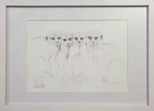 Merkat Gathering -Graphite on paper -Framed, ready to hang -44 x 32 cms -$165