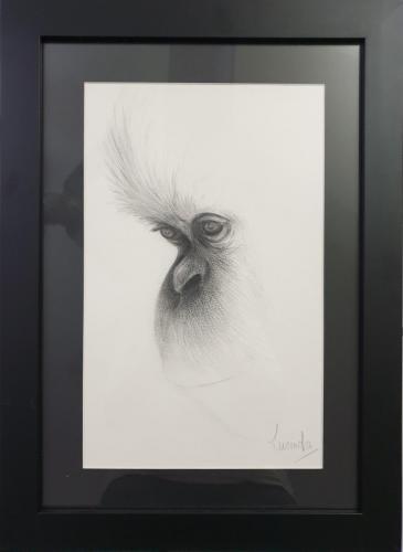 So Sad -Graphite on paper-Framed, ready to hang -33 x 45 cm -$165
